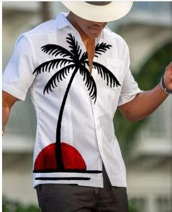 Dennis – 3D Sommer Casual Bedrucktes Hawaiian Shirt für Herren