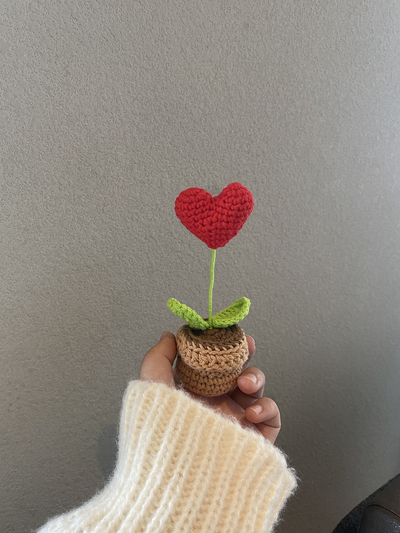 Handgefertigte Häkelblumentopf-Dekoration