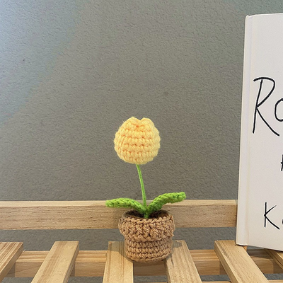 Handgefertigte Häkelblumentopf-Dekoration