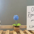 Blaue Tulpe