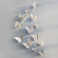 Silber B