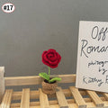 Alle rote Blume