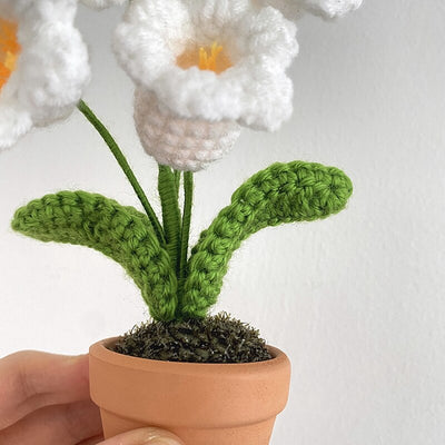 Handgefertigte Häkelblumentopf-Dekoration