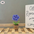 Blaue Rose