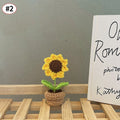 Sonnenblume