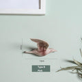 Typ B-Rosa