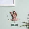 Typ D-Rosa