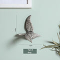 Typ E-Grau