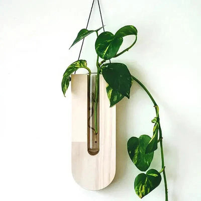 Vintage Wandvase │ Holz-Hydroponik Wandpflanzenhalter │ Transparenter Glasröhren-Blumentopf